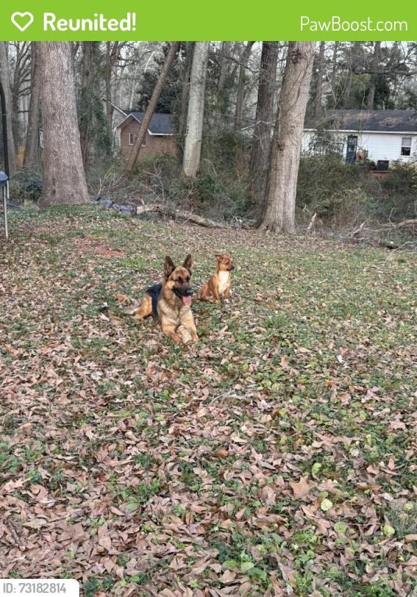 Reunited Male Dog last seen Near jefferson river rd, Athens, GA 30607
