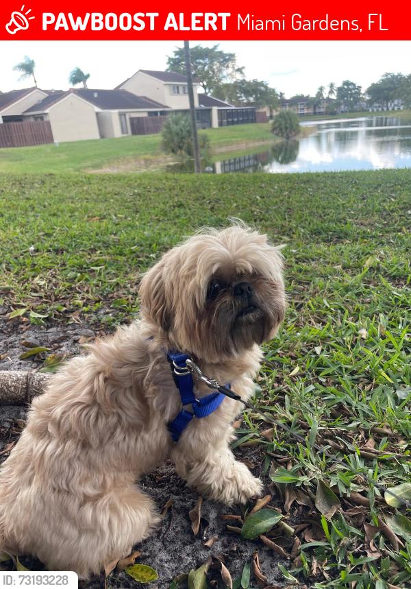 Lost Male Dog last seen 189th street, Miami Gardens, FL 33015