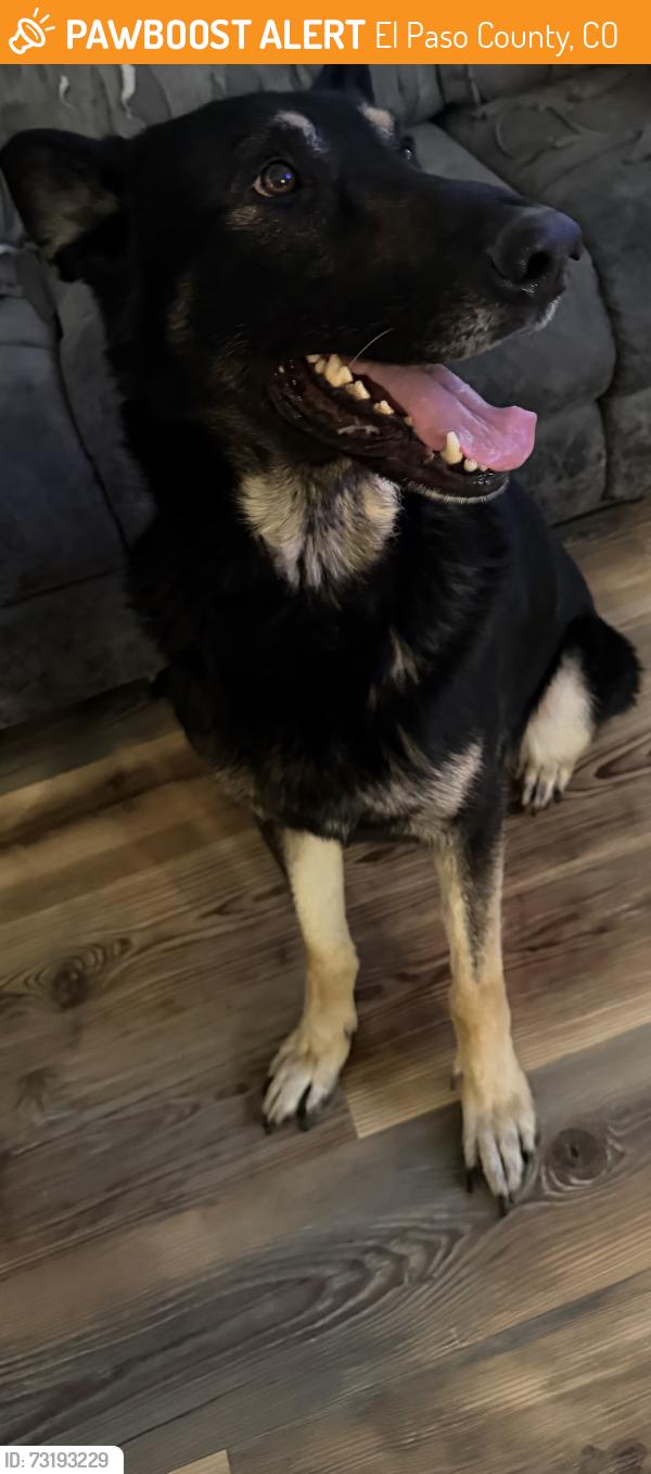 Found/Stray Male Dog last seen Located on S Ellicott Hwy between Farmer and Drennan, El Paso County, CO 80808
