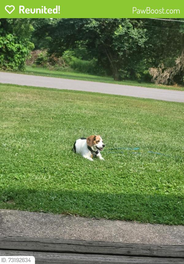 Reunited Female Dog last seen East Park St and Gibson St, Eau Claire, PA 16030