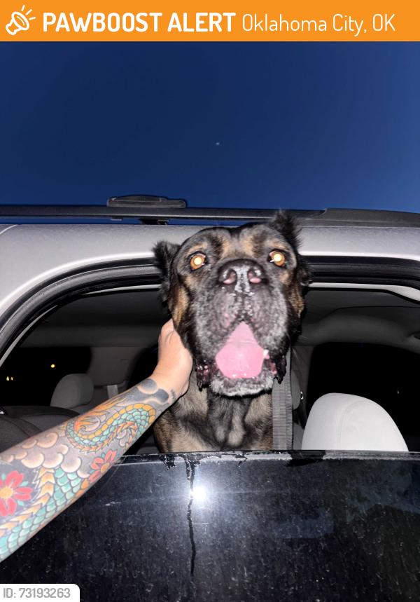 Found/Stray Unknown Dog last seen McDonald's 29th and Douglas, Oklahoma City, OK 73130