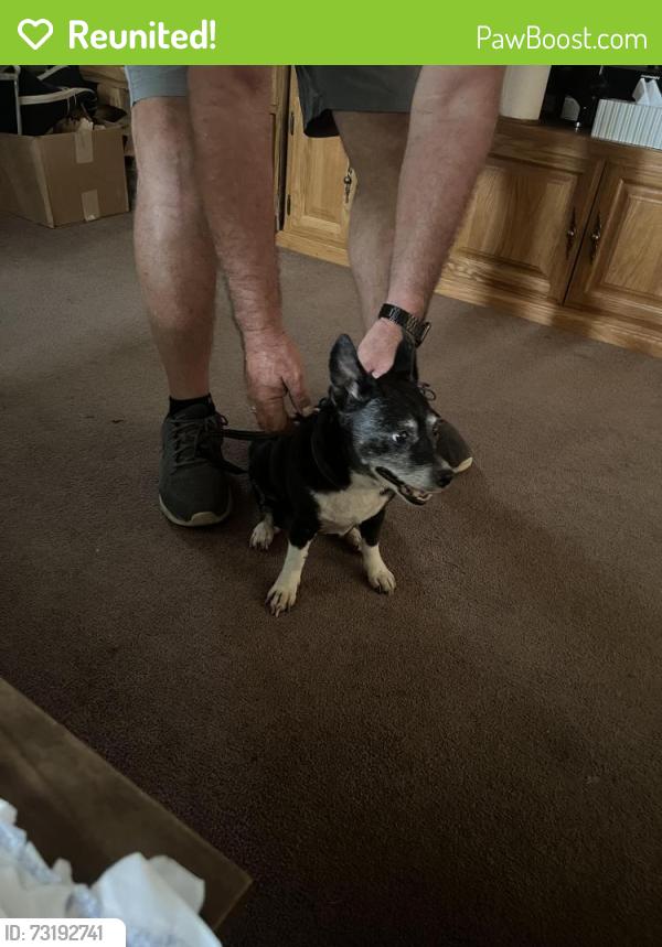 Reunited Female Dog last seen Cheyenne and Navajo street, Salt Lake City, UT 84104