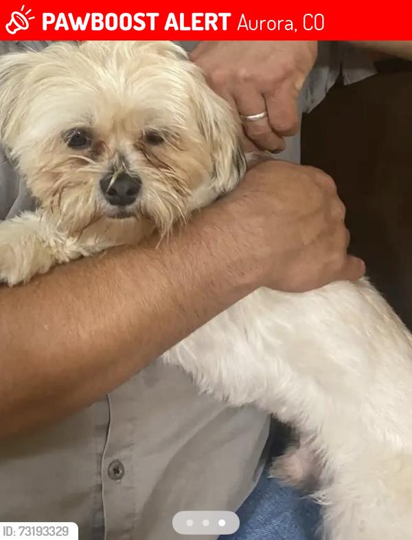 Lost Male Dog last seen Uvalda st, Aurora, CO 80011