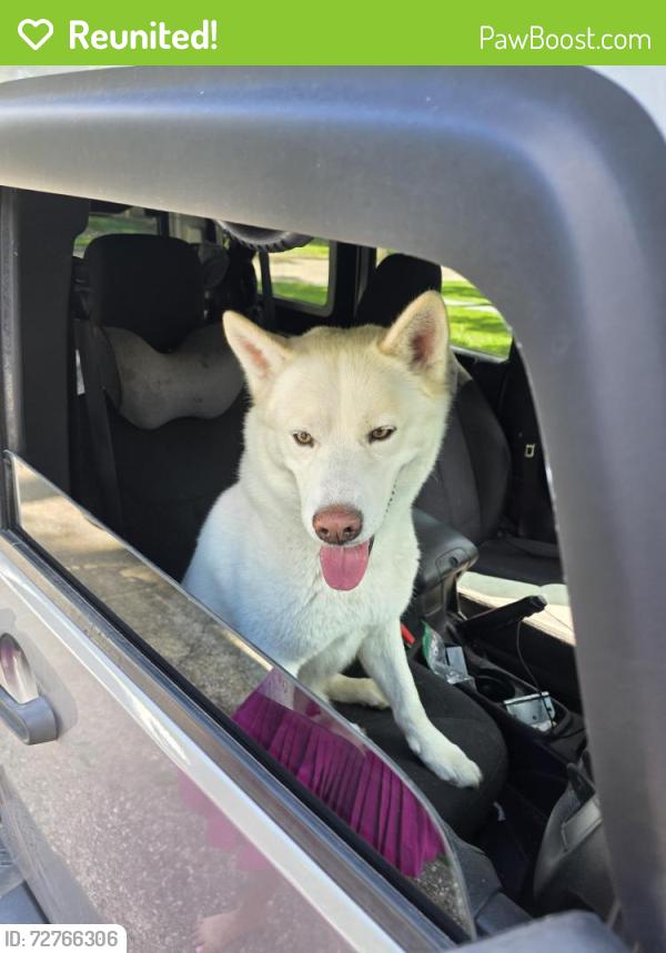 Reunited Male Dog last seen Meyer Dog Park, Houston, TX 77069