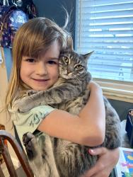 Reunited Female Cat last seen Pacheco Blvd, Martinez, CA 94553