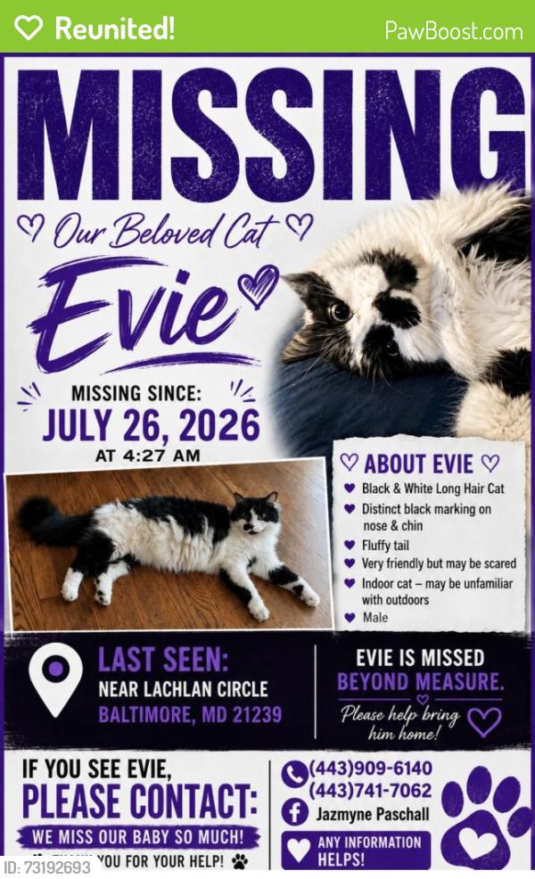 Reunited Male Cat last seen Towson town place apmts, Towson, MD 21239