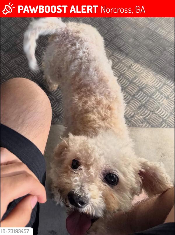 Lost Male Dog last seen Fry st, Norcross, GA 30071