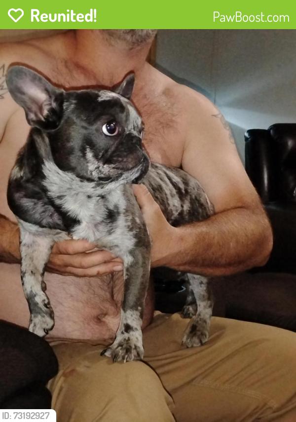 Reunited Male Dog last seen Kingfisher, Rome, GA 30165