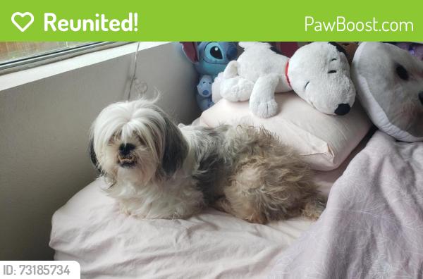 Reunited Female Dog last seen Miller's Pond Park, San Antonio, TX 78242