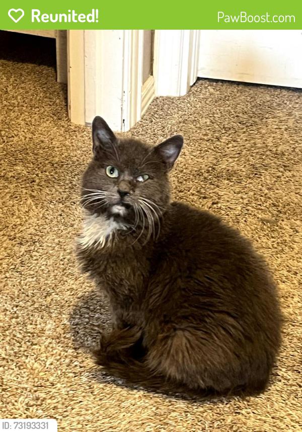 Reunited Male Cat last seen Kipling and belview, Littleton, CO 80123
