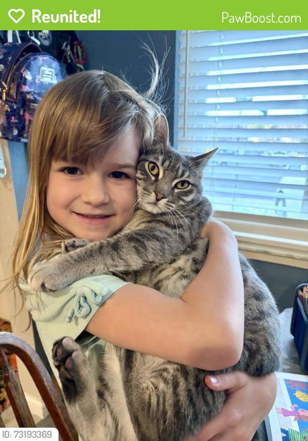 Reunited Female Cat last seen Pacheco Blvd, Martinez, CA 94553