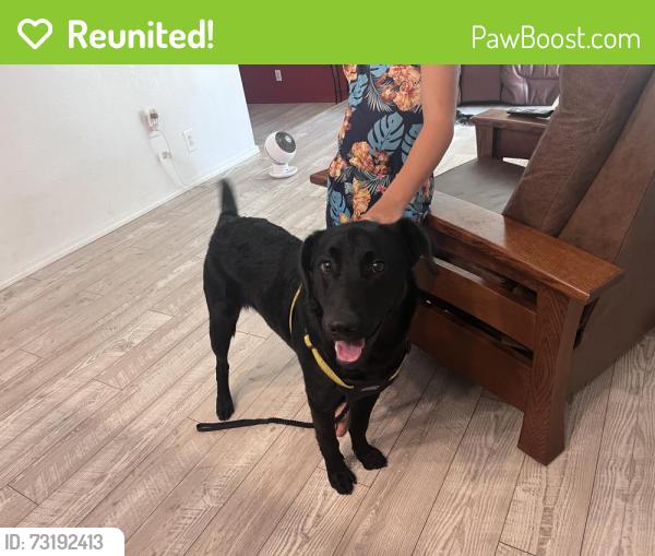 Reunited Male Dog last seen Main Street Denair, Denair, CA 95316