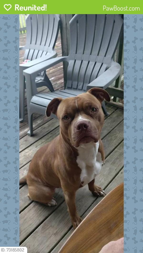 Reunited Male Dog last seen Dubnicka dr, Sussex, WI 53089