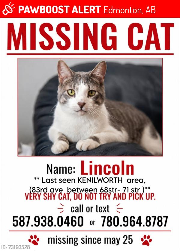 Lost Male Cat last seen Kenilworth arena, Edmonton, AB 