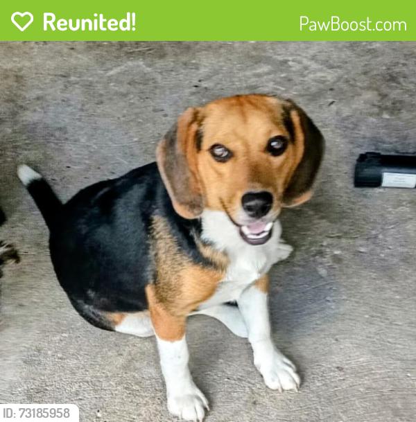 Reunited Male Dog last seen Norton, Corpus Christi, TX 78411