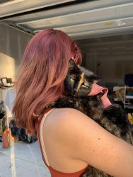 Lost Female Cat last seen Gene Campbell, New Caney, TX 77357