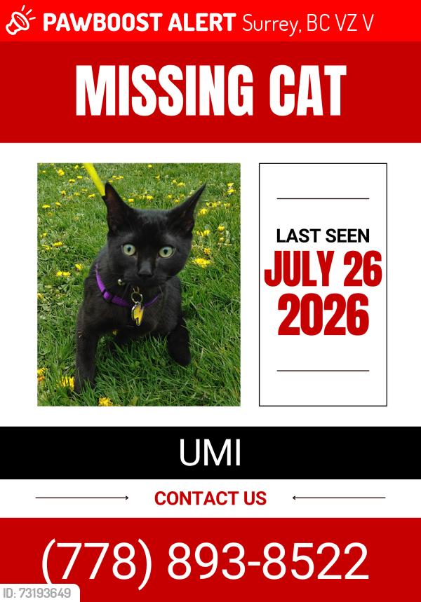 Lost Male Cat last seen Near panther paintball sports park, Surrey, BC V3Z 9V2