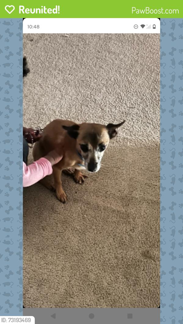 Reunited Male Dog last seen Barker Cypress, Houston, TX 77084