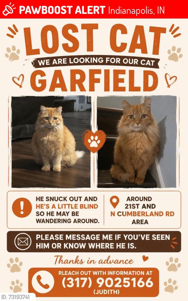 Lost Male Cat last seen 21st and Cumberland, Indianapolis, IN 46229