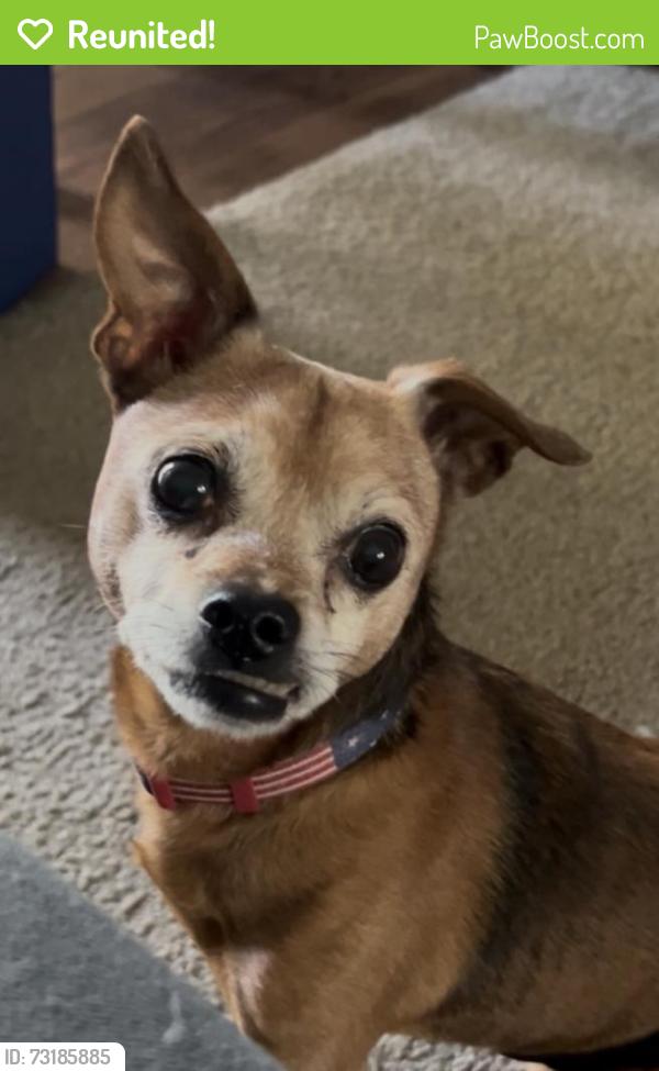 Reunited Male Dog last seen Lancaster way and Blanton, Beaverton, OR 97007