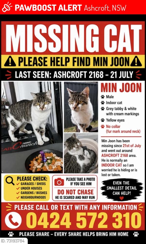 Lost Male Cat last seen Maxwells Avenue, Sadleir Avenue, Elizabeth Drive, Ashcroft, NSW 2168