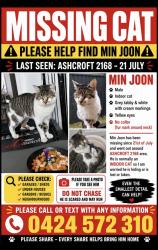 Lost Male Cat last seen Maxwells Avenue, Sadleir Avenue, Elizabeth Drive, Ashcroft, NSW 2168