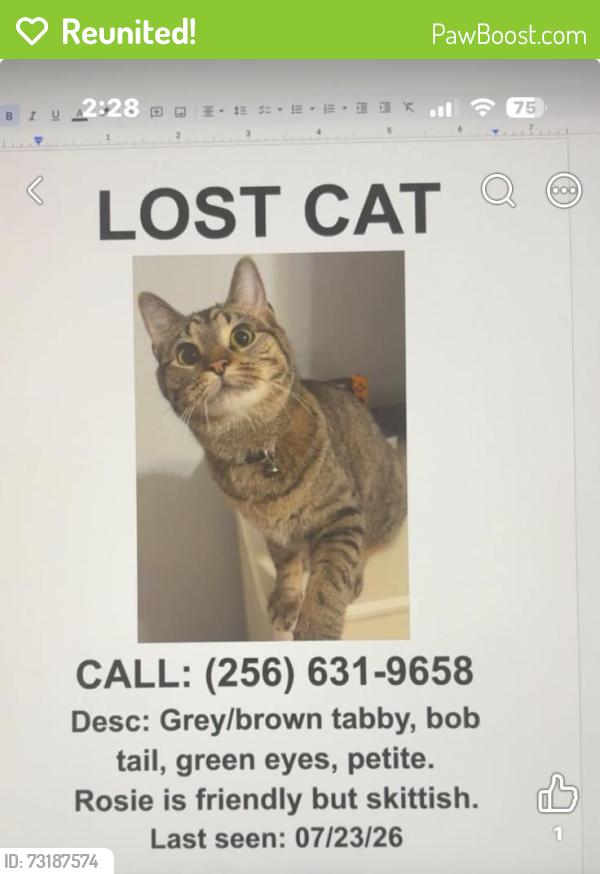 Reunited Female Cat last seen Wall triana Hwy/ Pine Grove rd, Madison, AL 35757