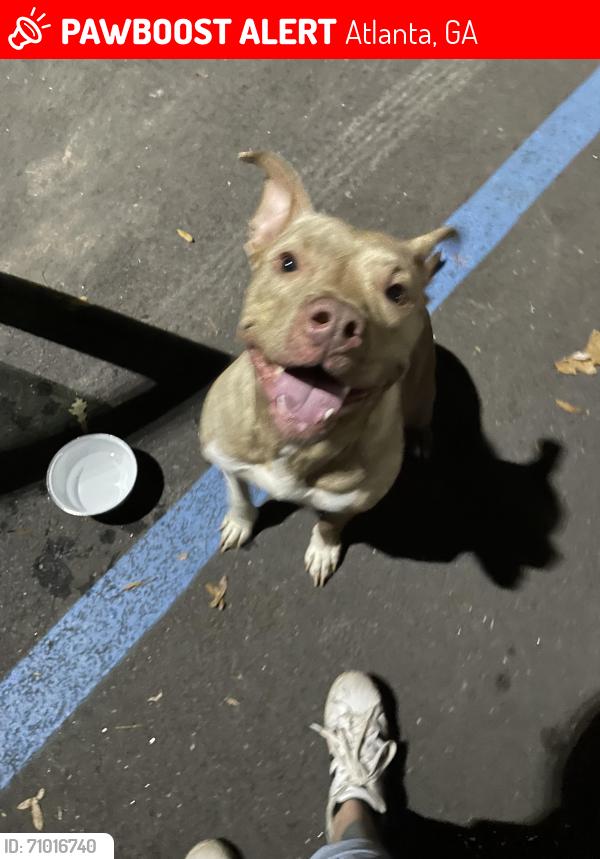 Lost Male Dog last seen Near Eastpoint, Georgia, Atlanta, GA 30344