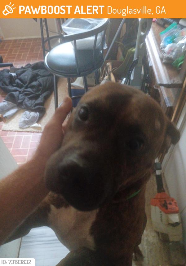 Found/Stray Male Dog last seen Hwy 5 near billarp in Douglasville, Douglasville, GA 30134