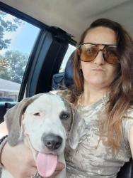Lost Male Dog last seen Anywhere on 49 or deaudex, Gulfport, MS 39503
