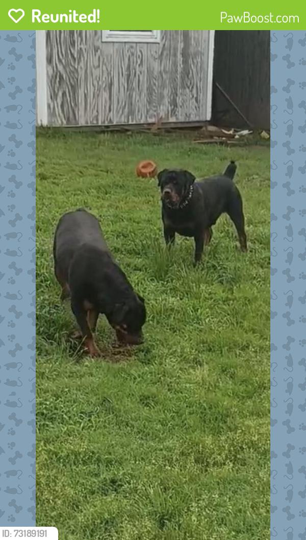 Reunited Male Dog last seen Broken Arrow, OK 74011, USA, Broken Arrow, OK 74011