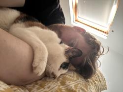 Reunited Female Cat last seen Easington Skate Park, County Durham, England SR8 3AH