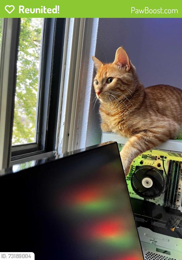 Reunited Male Cat last seen Memphis and Quincy, Aurora, CO 80015