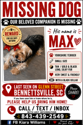Lost Male Dog last seen Bennettsville sc, Bennettsville, SC 29512