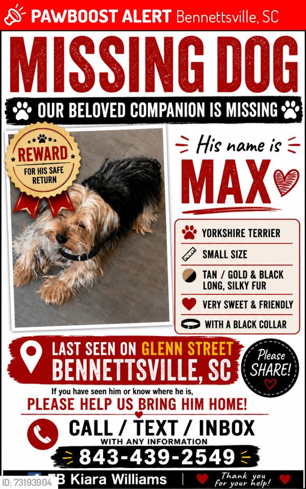 Lost Male Dog last seen Bennettsville sc, Bennettsville, SC 29512