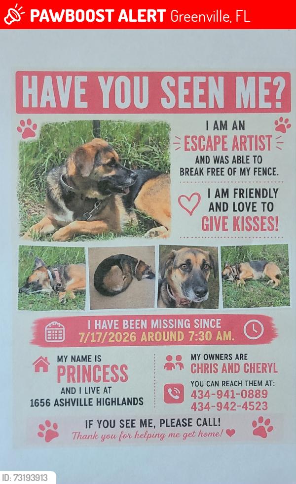 Lost Female Dog last seen Jefferson County Private Airstrip, Greenville, FL 32331