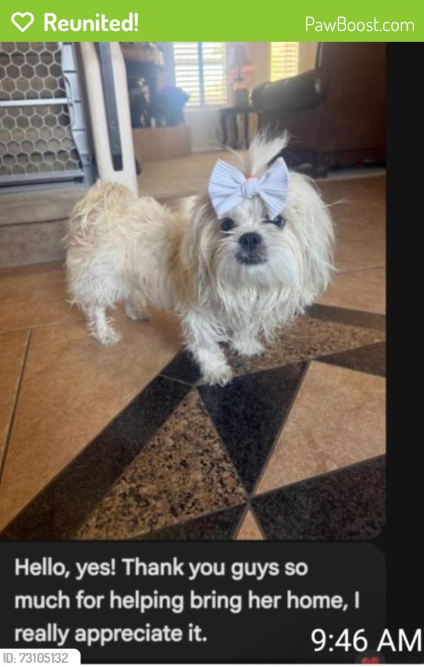 Reunited Female Dog last seen Ashford rf, Horizon City, TX 79928