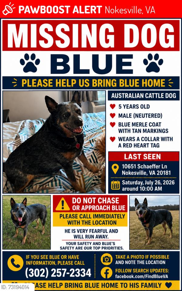 Lost Male Dog last seen Nokesville VA, Nokesville, VA 20181