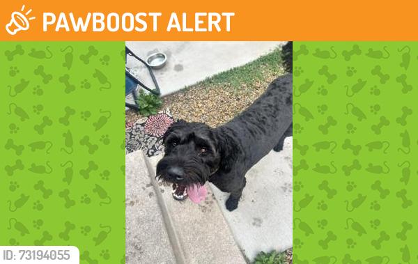 Found/Stray Male Dog last seen Uintah and N 28th street, Colorado Springs, CO 80904