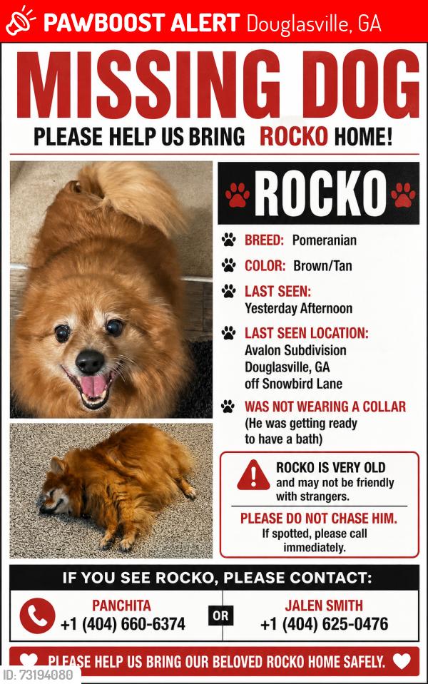 Lost Male Dog last seen Hwy 92 near fire station, Douglasville, GA 30134