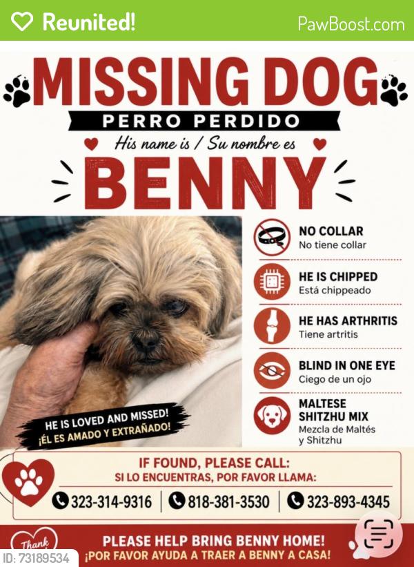 Reunited Male Dog last seen Bedford and Guthrie -LA 90034, Los Angeles, CA 90034