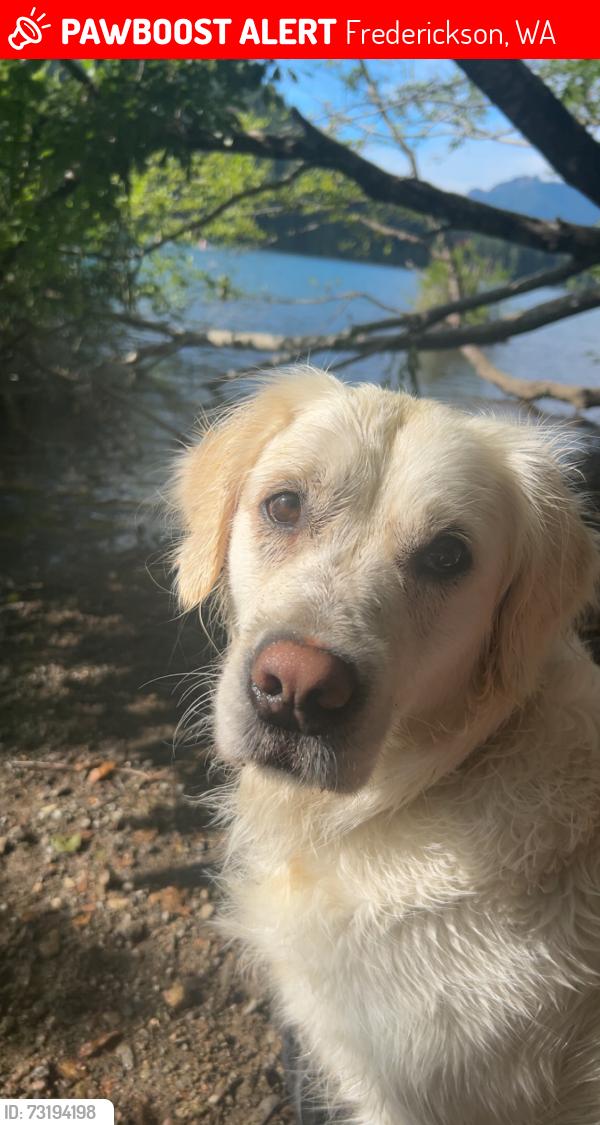 Lost Female Dog last seen 128th st, Frederickson, WA 98375