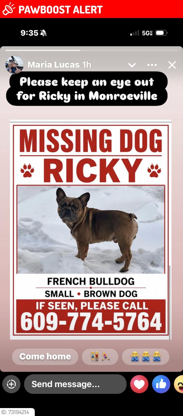 Lost Male Dog last seen Monroe bike path, Gloucester County, NJ 08080