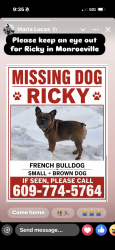Lost Male Dog last seen Monroe bike path, Gloucester County, NJ 08080