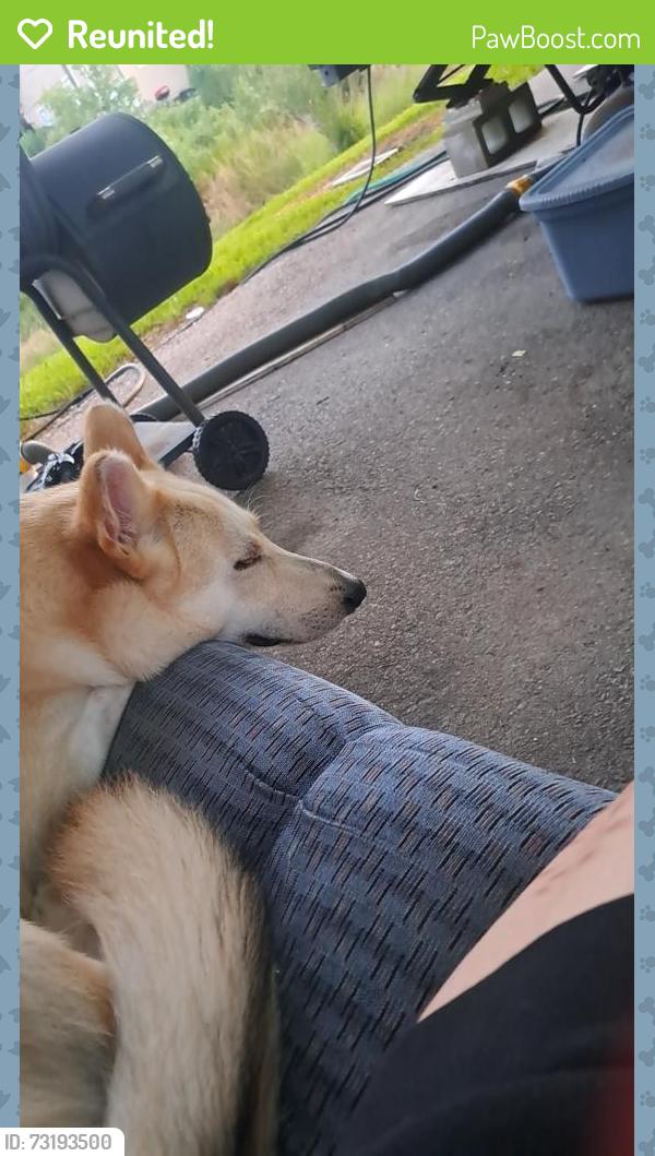 Reunited Male Dog last seen Rv park, San Leon, TX 77518