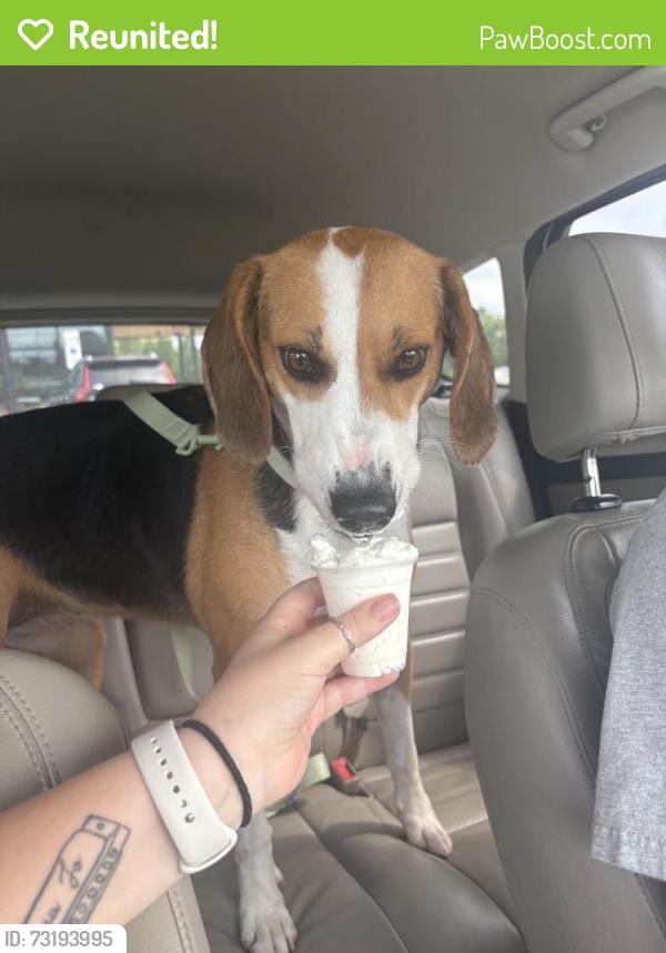 Reunited Female Dog last seen By The Burlington School, Burlington, NC 27215