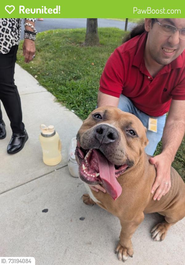 Reunited Male Dog last seen Crosby St Chester, Chester, PA 19013