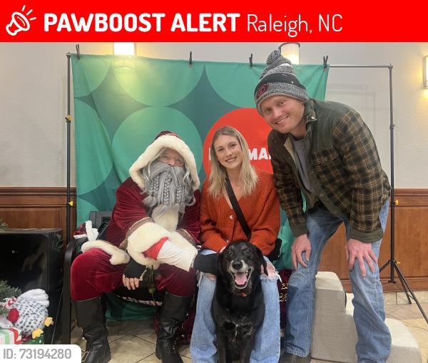 Lost Female Dog last seen Wade Park Boulevard, Raleigh, NC 27607