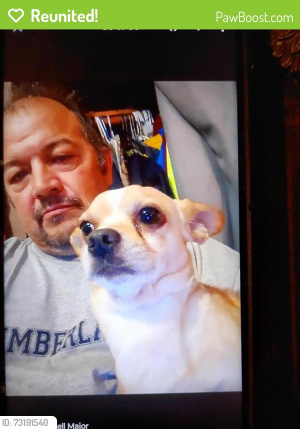 Reunited Male Dog last seen broadway street rogersville tn, Rogersville, TN 37857