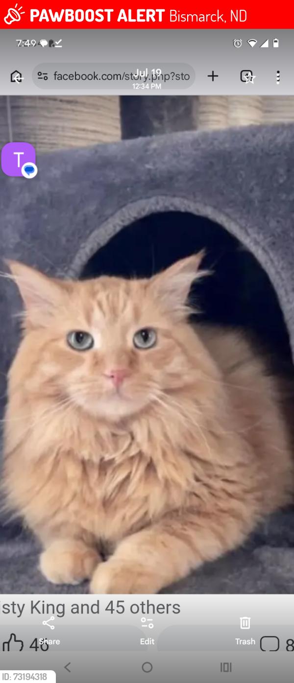 Lost Male Cat last seen Warwick loop Bismarck North Dakota, Bismarck, ND 58504